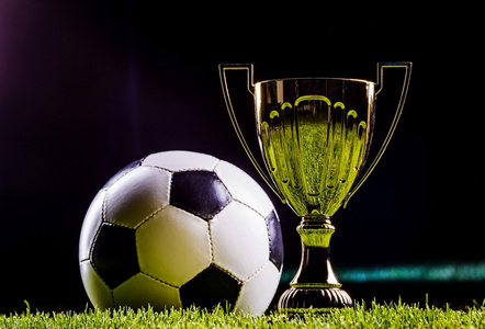 伊朗的胜利 伊朗的胜利