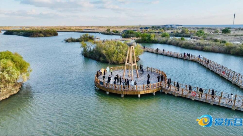 莱比锡主帅 莱比锡主帅